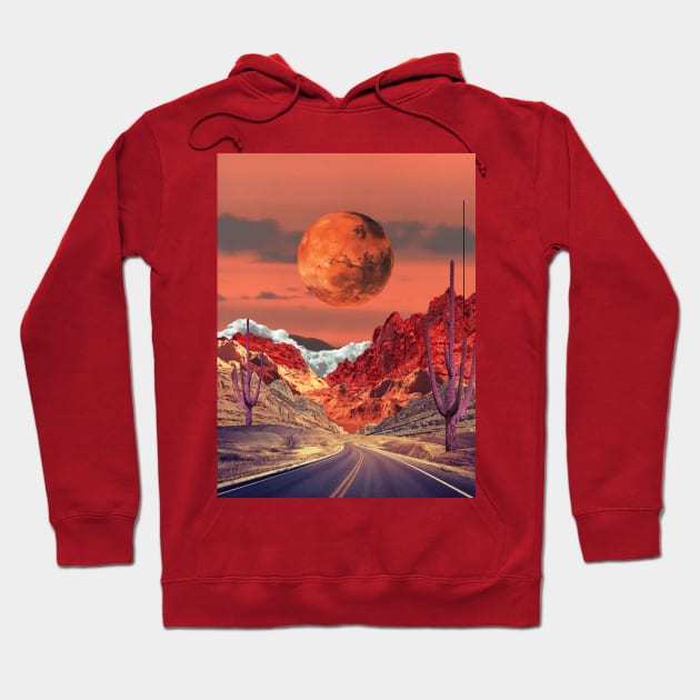 Towards Mars Hoodie by leafandpetaldesign